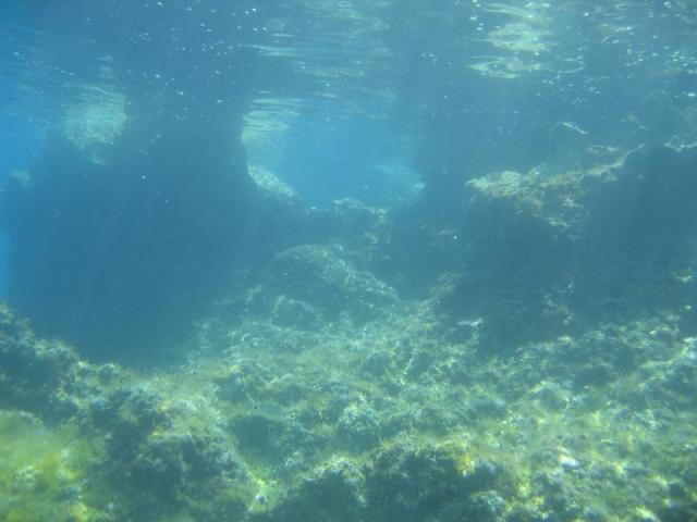 IMG_5758.JPG.jpg