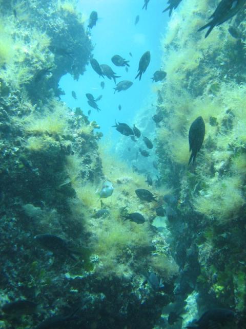 IMG_5776.JPG.jpg