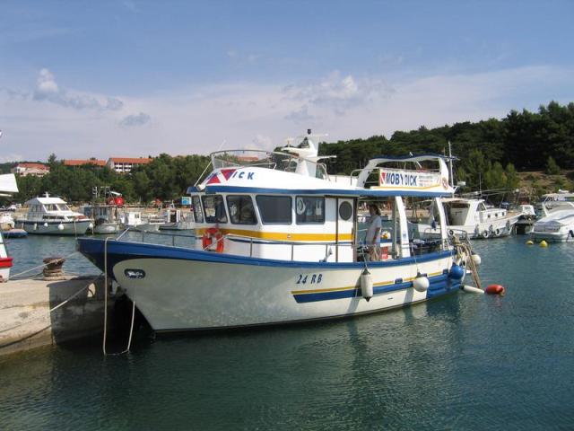 IMG_5815.JPG.jpg