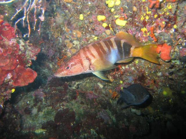IMG_5832.JPG.jpg